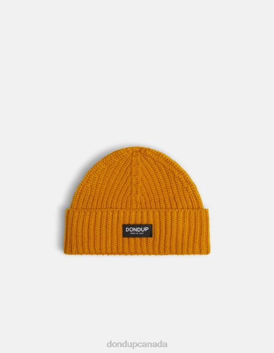 Ochre Yellow